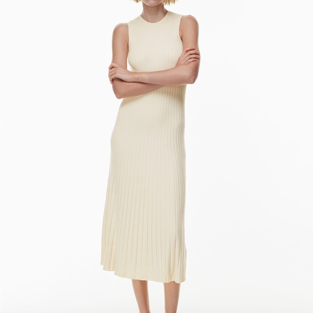 Aritzia Babaton Expression Dress